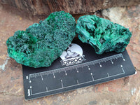 Natural Silky Malachite Specimens x 12 From Kasompe, Congo