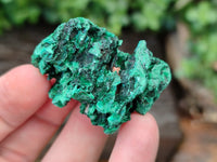 Natural Silky Malachite Specimens x 12 From Kasompe, Congo