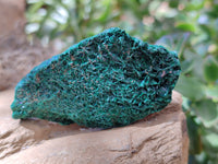 Natural Silky Malachite Specimens x 12 From Kasompe, Congo