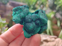 Natural Silky Malachite Specimens x 12 From Kasompe, Congo