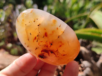 Polished Carnelian Palm Stones x 24 From Madagascar