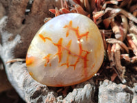 Polished Carnelian Palm Stones x 24 From Madagascar