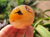 Polished Carnelian Palm Stones x 24 From Madagascar