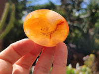 Polished Carnelian Palm Stones x 24 From Madagascar