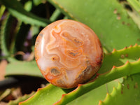 Polished Carnelian Palm Stones x 24 From Madagascar