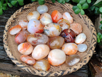 Polished Carnelian Palm Stones x 24 From Madagascar