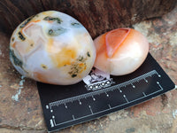 Polished Carnelian Palm Stones x 24 From Madagascar