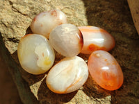 Polished Carnelian Palm Stones x 24 From Madagascar