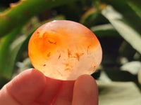 Polished Carnelian Palm Stones x 24 From Madagascar