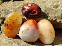 Polished Carnelian Palm Stones x 24 From Madagascar