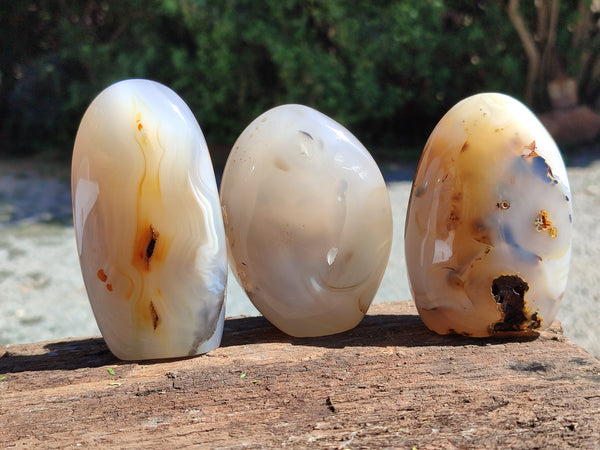 Polished Agate Standing Free Forms x 6 From Madagascar