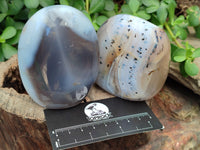 Polished Agate Standing Free Forms x 6 From Madagascar