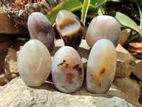 Polished Agate Standing Free Forms x 6 From Madagascar