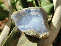 Natural Blue Lace Agate Geode Specimens x 12 From Nsanje, Malawi