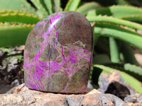 Polished Stichtite Standing Free Forms x 7 From Barberton, South Africa