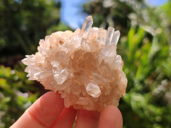 Natural Assortment Of Quartz Clusters x 12 From Madagascar