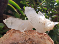 Natural Assortment Of Quartz Clusters x 12 From Madagascar