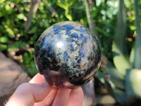 Polished Iolite Water Sapphire Spheres x 2 From Madagascar