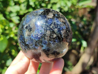 Polished Iolite Water Sapphire Spheres x 2 From Madagascar