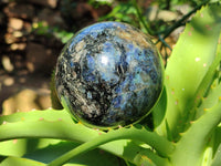 Polished Iolite Water Sapphire Spheres x 2 From Madagascar