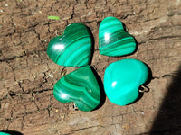 Polished Banded Flower Malachite Pendant Hearts - Sold Per Item - From Congo