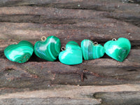 Polished Banded Flower Malachite Pendant Hearts - Sold Per Item - From Congo