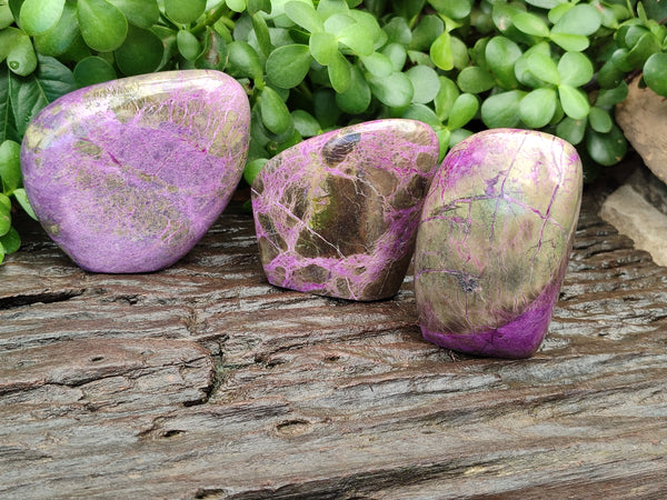 Polished Stichtite Standing Free Forms x 3 From Barberton, South Africa