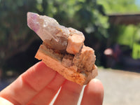 Natural Window Amethyst Quartz Crystals x 12 From Brandberg, Namibia