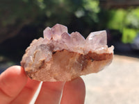 Natural Window Amethyst Quartz Crystals x 12 From Brandberg, Namibia