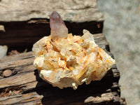 Natural Window Amethyst Quartz Crystals x 12 From Brandberg, Namibia