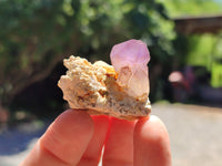 Natural Window Amethyst Quartz Crystals x 12 From Brandberg, Namibia