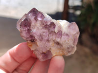 Natural Window Amethyst Quartz Crystals x 12 From Brandberg, Namibia