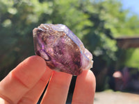 Natural Window Amethyst Quartz Crystals x 12 From Brandberg, Namibia