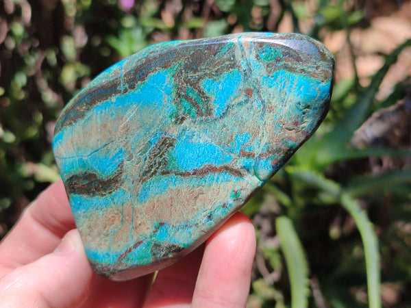 Polished Shattuckite Free Forms With Azurite & Chrysocolla x 6 From Congo