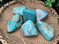 Polished Shattuckite Free Forms With Azurite & Chrysocolla x 6 From Congo