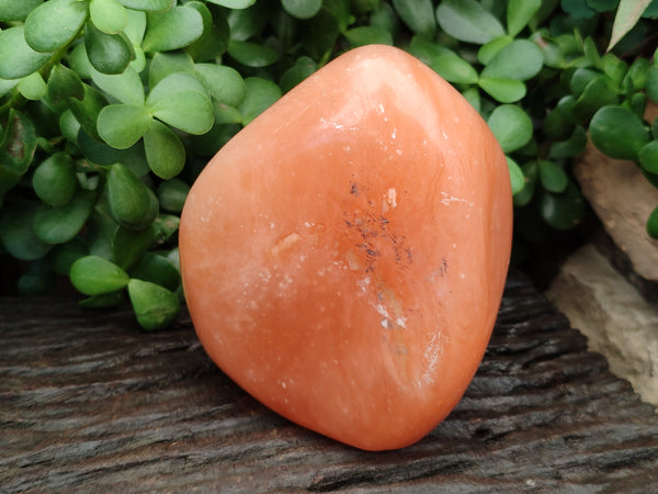 Polished Orange Twist Calcite Standing Free Form x 1 From Madagascar