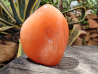 Polished Orange Twist Calcite Standing Free Form x 1 From Madagascar