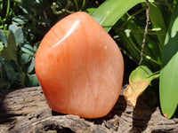 Polished Orange Twist Calcite Standing Free Form x 1 From Madagascar