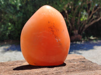 Polished Orange Twist Calcite Standing Free Form x 1 From Madagascar