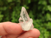 Natural Clear Quartz Crystals x 70 From Mpika, Zambia