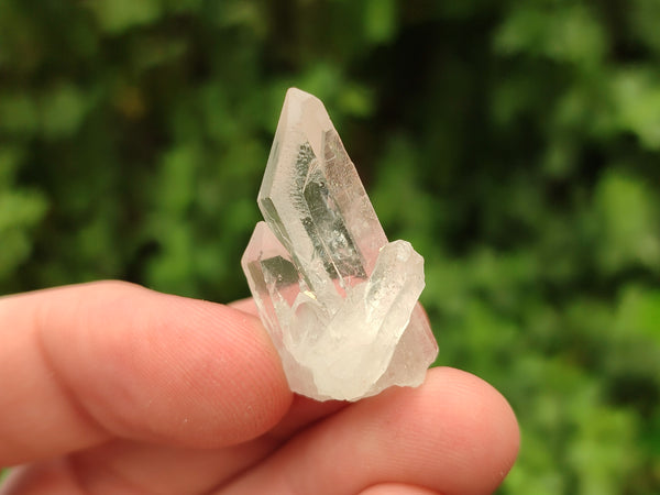 Natural Clear Quartz Crystals x 70 From Mpika, Zambia