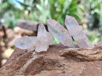 Natural Clear Quartz Crystals x 70 From Mpika, Zambia