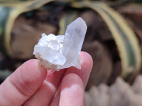 Natural Clear Quartz Crystals x 70 From Mpika, Zambia