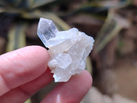 Natural Clear Quartz Crystals x 70 From Mpika, Zambia