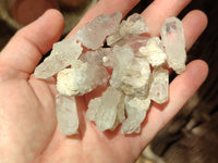 Natural Clear Quartz Crystals x 70 From Mpika, Zambia