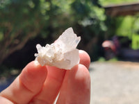 Natural Clear Quartz Crystals x 70 From Mpika, Zambia