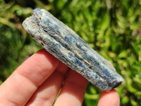 Natural Kyanite Crystals x 52 From Zimbabwe