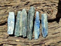 Natural Kyanite Crystals x 52 From Zimbabwe