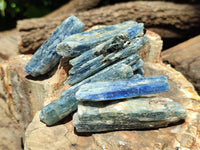 Natural Kyanite Crystals x 52 From Zimbabwe