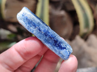 Natural Kyanite Crystals x 52 From Zimbabwe